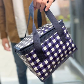 Fashion Stationery Lunch Bag Insulated Cooler Kids Adults Folding Reusable Pack Lunch Bags for Girls Boys Kids Picnic Bag Gingham Navy Blue and White