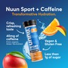 Nuun Sport Electrolyte Tablets with Caffeine from Green Tea Extract,