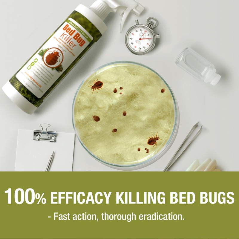 EcoRaider Bed Bug Killer Spray 1 Gallon Jug, Green +