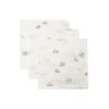 Jollein On The Go Muslin Baby Burp Cloths - Pack