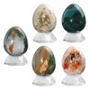 mookaitedecor 76-90mm Natural Ocean Jasper Crystal Egg Ornament with Acrylic