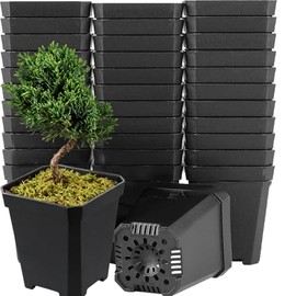 Juego de 100 Macetas Cuadradas de Plástico de 7 cm, Pequeñas Macetas de Plástico con Agujero de Drenaje para Plantulas, Suculentas, Plantas en Maceta, Color Negro