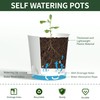 LESOASIS 4 Inch 5 Pack Small Self Watering Pots for