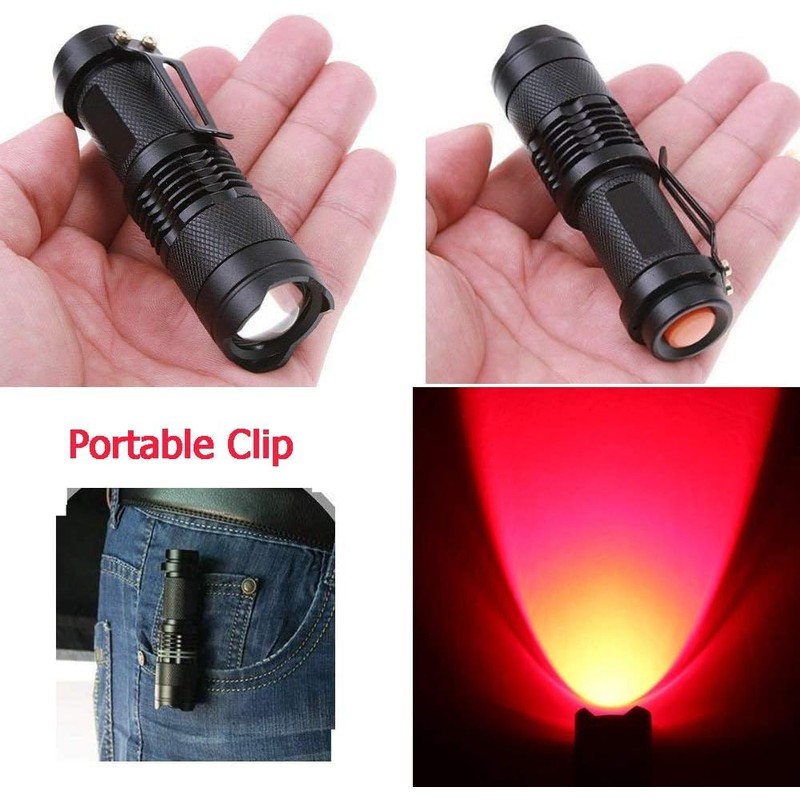 WAYLLSHINE 4 Pack Single Mode Red Light Flashlight, 1 Mode