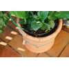 Royal Gardineer Mini Irrigation System: Plant Irrigation System for Balcony