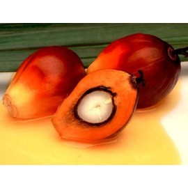 Natural High Complete E 60 Tablets