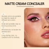 ProductDetailReferencing 오래 지속되는 방수 소프트 매트 그라데이션 컨실러 자연스럽고 가볍고