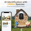 birdsnap® P33 - Smart Bird Feeder with Camera Solar Powered,