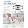 ZMISHIBO Low Profile Ceiling Fans with Lights and Remote, 20