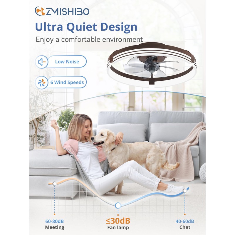 ZMISHIBO Low Profile Ceiling Fans with Lights and Remote, 20
