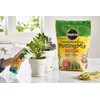 Miracle-Gro Cactus, Palm & Citrus Potting Mix and Succulent Plant
