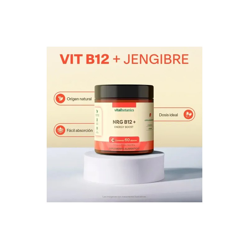 Complejo Vitamina B12 Energy Boost 60 Caps Vitalbotanics