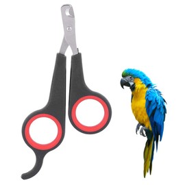 Bird Nail Clipper Grooming Tool Nail Scissors Clipper Pet Bird Parrot Small Animals Accessory for Small Parrot Birds