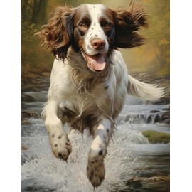 A4 Drawing Book: Sketchbook Gift For Kids Who Love Springer Spaniels
