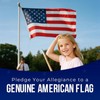 American Flags for Outside Heavy Duty Tear-Resistant American Flag,USAFlag 3x5FT,3x5