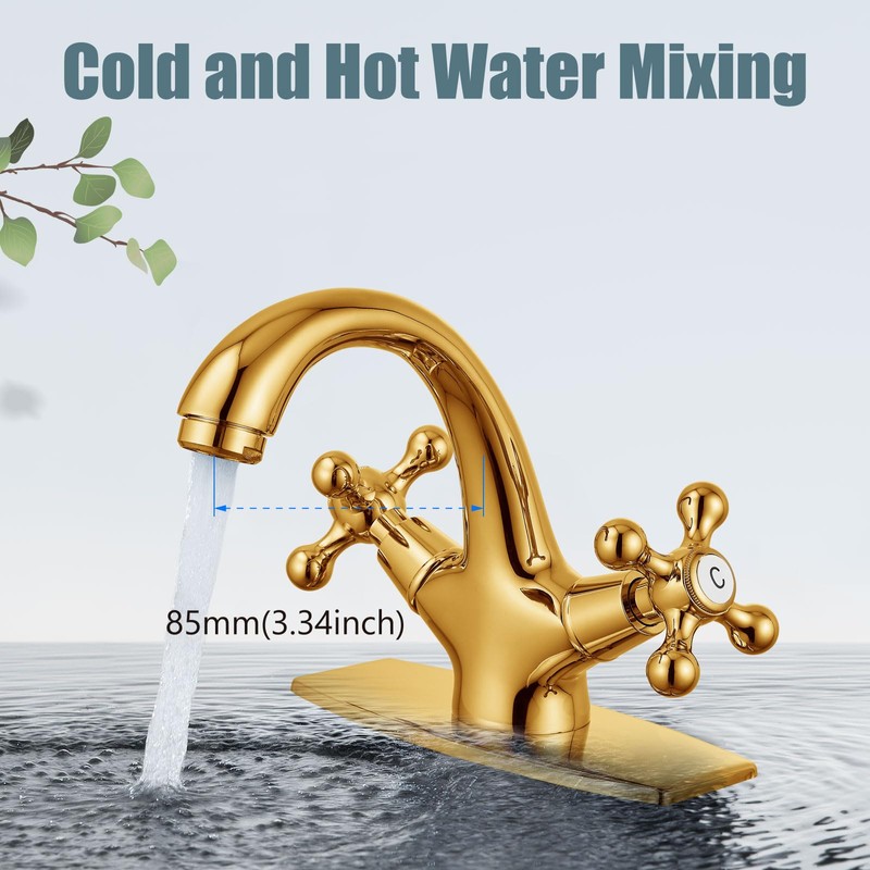 Aolemi Bathroom Sink Faucet Single Hole Cold and Hot Double