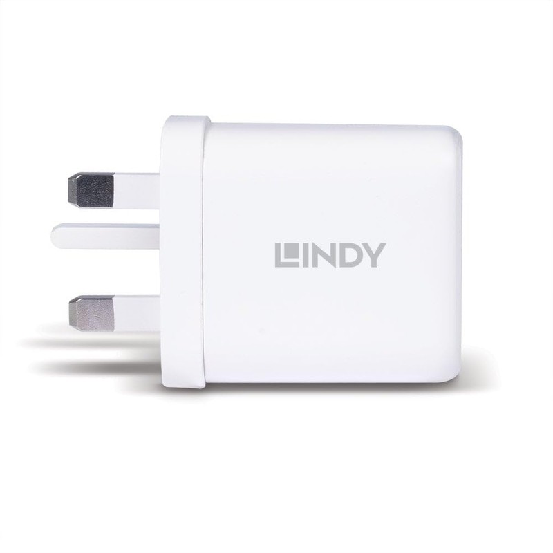 Lindy 73428 USB Charger Type A and C GAN, 65