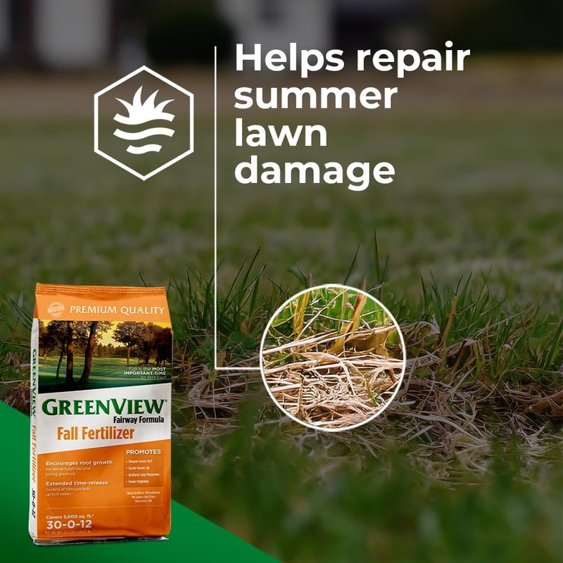 GreenView Fairway Formula Fall Lawn Fertilizer - 45 lb. Bag