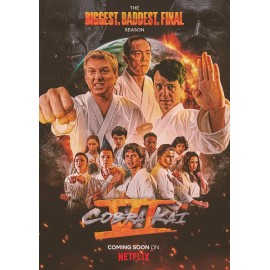 COBRA KAI SEASON 6 Poster 13x19 inches  #5 Free Shipping