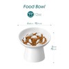 vancasso Ceramic Slow Feeder Cat Bowl, 6.25 Inch Elevated Cat