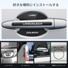 LUTU Door Handle Protector Parts, Land Cruiser 250, April 2024