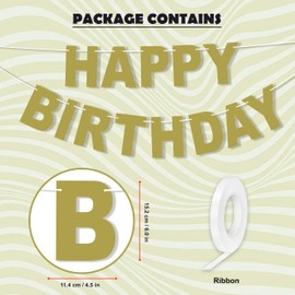 DIY Dirty Green Printed Happy Birthday Banner 10Ft Holograthic Birthday Banner Birthday Party Decoration Supplies