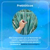 VIZANA NUTRITION | Inulina de Agave Orgánica Certificada USDA en
