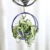 SCSFCVIUS Air Plant Hanging Holder Planter - Plant Hanger Display