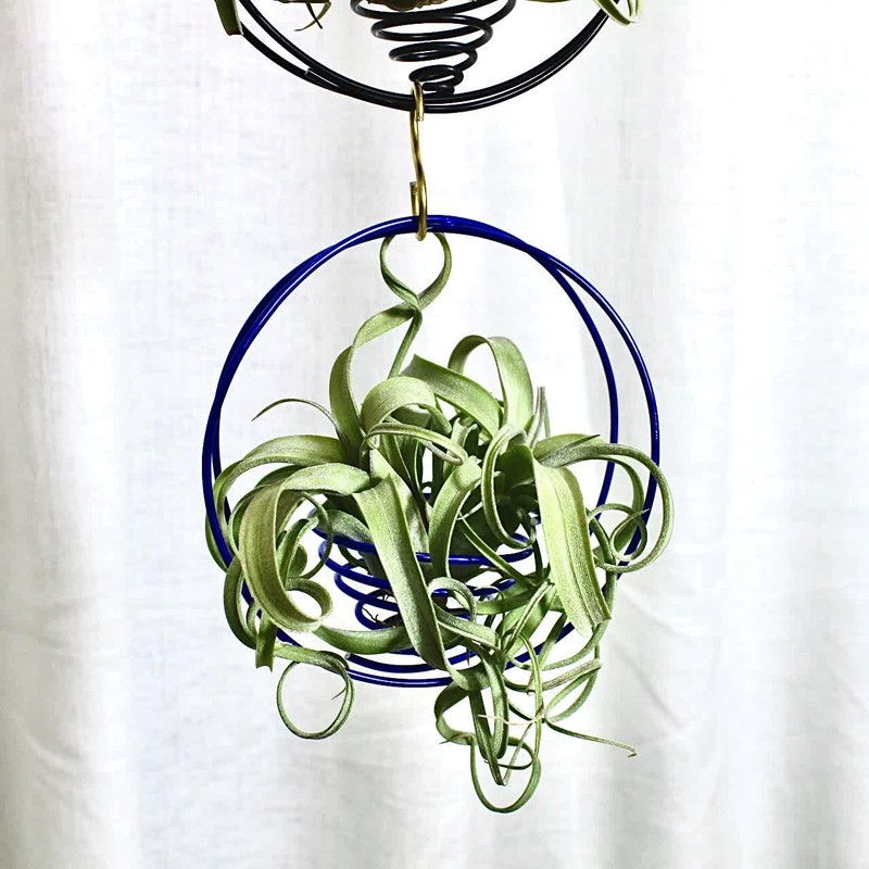 SCSFCVIUS Air Plant Hanging Holder Planter - Plant Hanger Display