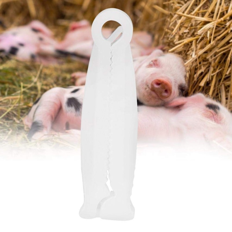 Clip umbilical de cordón de cochinillo, 100 piezas/paquete desechable abrazaderas