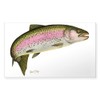 CafePress Rainbow Trout 1 Rectangle Bumper Sticker Car Decal