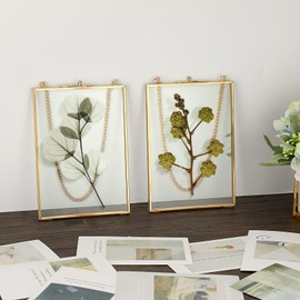 SUMTree 2 x Glass Picture Frame Hanging with Chains Photo Frame Plant Sample Glass Frame for Pressed Flowers Photo Pictures Glass Frame Only (Gold, 13 x 18 cm, Rectangle)