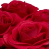 Relaxdays Round Rose Box, 4 Roses, Flower Box, White, Long