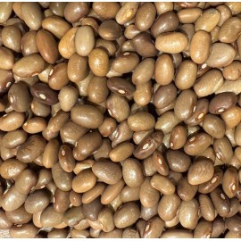 Does Not Apply Chocolate Bayo Frijol Bean Heirloom Seed Packet