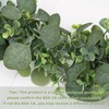 SOMYTING Eucalyptus Garlands, 2 Pack 5.7ft Long Artificial Mixed Eucalyptus