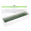Rakia Lakia AC Clear Ampoule 2ml x 10ea + Additional Ampoule + Ampoule Stopper Acne Troubled Skin / 라키아 AC클리어 앰플 2ml x 10ea+추가앰플+앰플마개 여드름 트러블피부