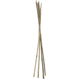 Farm Plastic Supply - Bamboo Garden Stakes - Bambo Sticks, Bamboo Plant Stakes for Outdoor Plants, Plant Support Stakes for Indoor Plants (4 Foot, 10)
