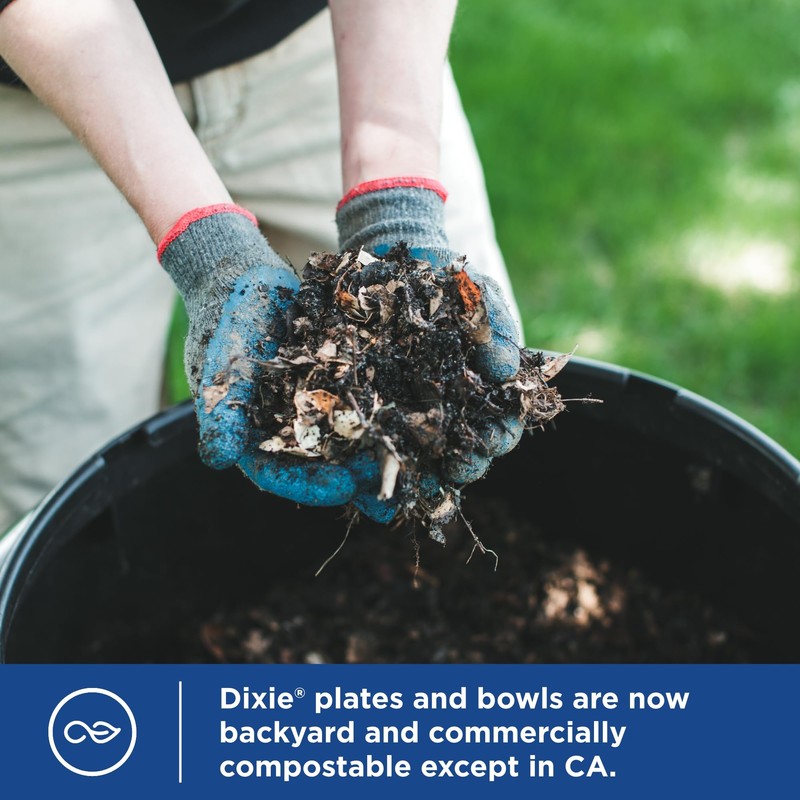 Dixie Small Paper Bowls, 10 Oz, 72 Count, Microwave-Safe, Soak-Proof,