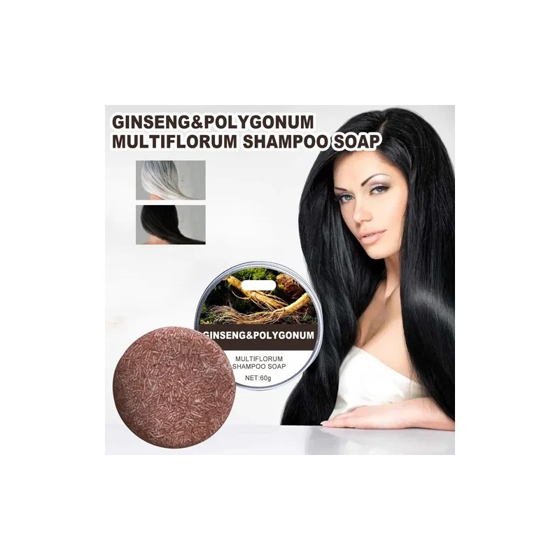 Champú Oscurecedor En Barra L Polygonum Essences Hair Darken