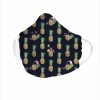 Vera Bradley Pineapple Face Mask, Toucan Party