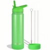 Insulated Stainless Steel Water Bottle with Straw, Ceramic-Lined, BPA-Free &