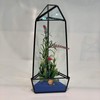WGV Geometric Terrarium, Width 4", Height 11.5", Clear DIY Succulent