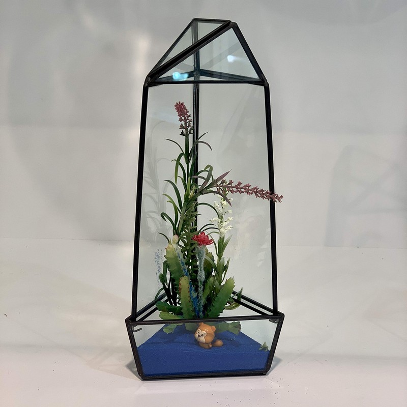 WGV Geometric Terrarium, Width 4", Height 11.5", Clear DIY Succulent