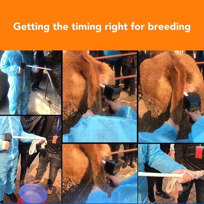 Pig Ovulation Detector Arc Probe Non Destructive Detection Digital Display