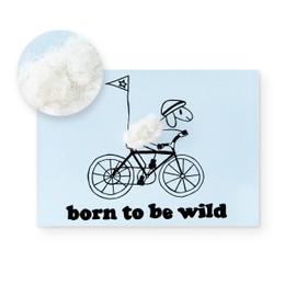Inkognito Plush postcard | occasion: "funny saying", motif: bicycle "born to be wild", artist: Barbara Dienz-Sengmüller, item number: 20829, by Berliner Verlag