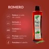 Tratamiento Shampoo Anticaída Árbol Verde 4pzs Romero Sábila