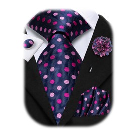 Hi-Tie Mens Tie Pocket Square Set Cufflinks Lapel Pin Silk Ties for Men Wedding Party Formal Business,Blue Purple Dot