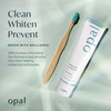 Opalescence Opalescence Opal Teeth Whitening Toothpaste (Pack of 12) -
