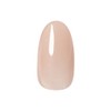 Prigel PREGEL (Printemps Series) Color EX3g 977 Dressed Up Apricot