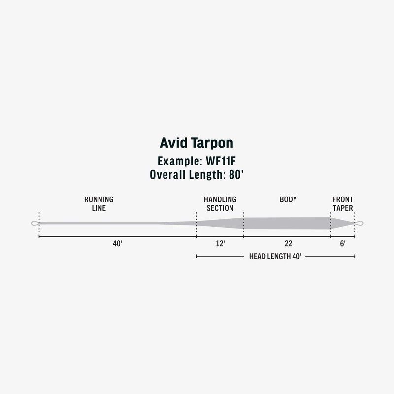 RIO Products Avid Tarpon Saltwater Fly Line, SlickCast Easy Casting,